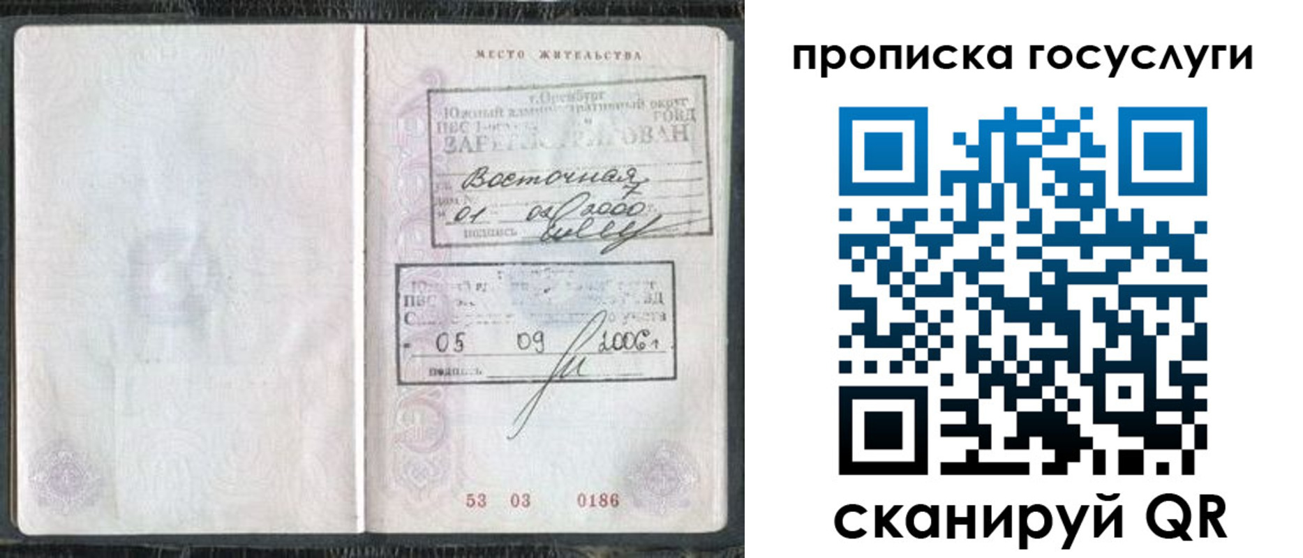 временная регистрация для школы в Палласовке
